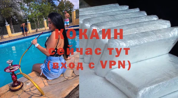 спиды Алзамай