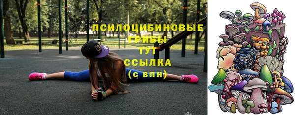 стаф Алексин