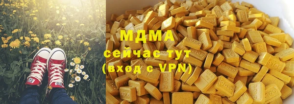 стаф Алексин