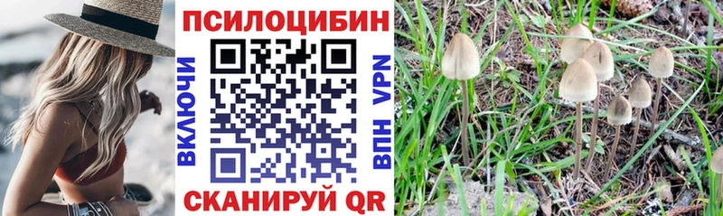 Псилоцибиновые грибы MAGIC MUSHROOMS  Усть-Джегута 